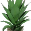 Hot LABEO Plante artificielle pour terrarium tropical ou désertique coloris vert Ananas