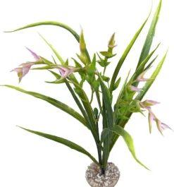 Outlet LABEO Plante artificielle pour aquarium coloris vert et rose Tillandsia PM