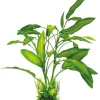 Discount SUPERFISH Plante artificielle pour aquarium ou terrarium coloris vert Cryptocoryne Art Plant L - 40 cm