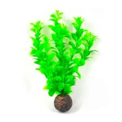 Online AQUADISTRIB Plante artificielle rotala pour aquarium, matière résistante, SUPERFISH, modèle Easy Plants M - taille moyenne
