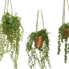 Discount KAEMINGK Plante artificielle verte avec suspension - Ø 10 x H 40 cm