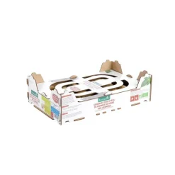 Online BOTANIC® Plants de pomme de terre Delikatesse bio par 100