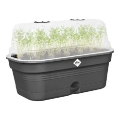 Discount ELHO Plateau de culture coloris living noir Green Basics Allin1 - 18 x 32 x 13,2 cm