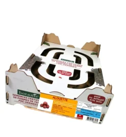 New BOTANIC® Pommes de terre Alouette bio - 60 plants