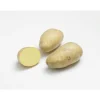 Online BOTANIC® Pommes de terre Monalisa bio calibre 0001, 100 plants