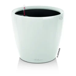 Outlet LECHUZA Pot à réserve d'eau Classico Blanc Ø.21 x H.20 cm