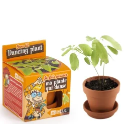 Hot RADIS ET CAPUCINE Pot avec coupelle et plante qui danse Ø8 cm