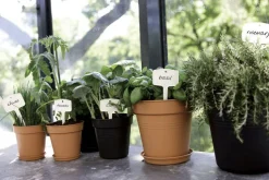 Outlet ELHO Pot 11cm Green Basics 11 cm noir