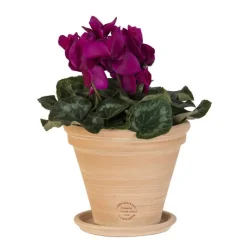 New TERRABLANCA Pot Conica en terre cuite claire D22x H18