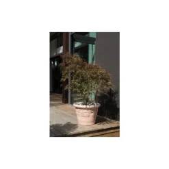 Clearance POTERIE GOICOECHEA Pot Cuvier raisin naturel H 39 x Ø 52 cm