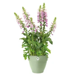 Hot ELHO Pot en polypropylène vert pistache Vibia Campana - Ø 30 x 25,8 cm