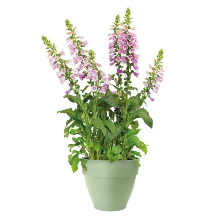 Hot ELHO Pot en polypropylène vert pistache Vibia Campana - Ø 30 x 25,8 cm