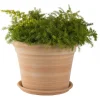 TERRABLANCA Pot gamme Cocio bordo Ø 42 cm