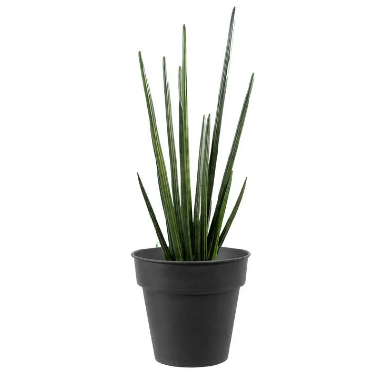 Sale DECOLINES Pot horticole en acier peint anthracite Ø 19 x H 17 cm