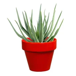 Clearance DECOLINES Pot horticole en terre cuite émaillée Rouge - D10 x H8.5