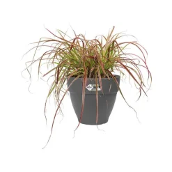Hot ELHO Pot vibia campana rond de 41 L coloris noir Ø 40 x H 33 cm