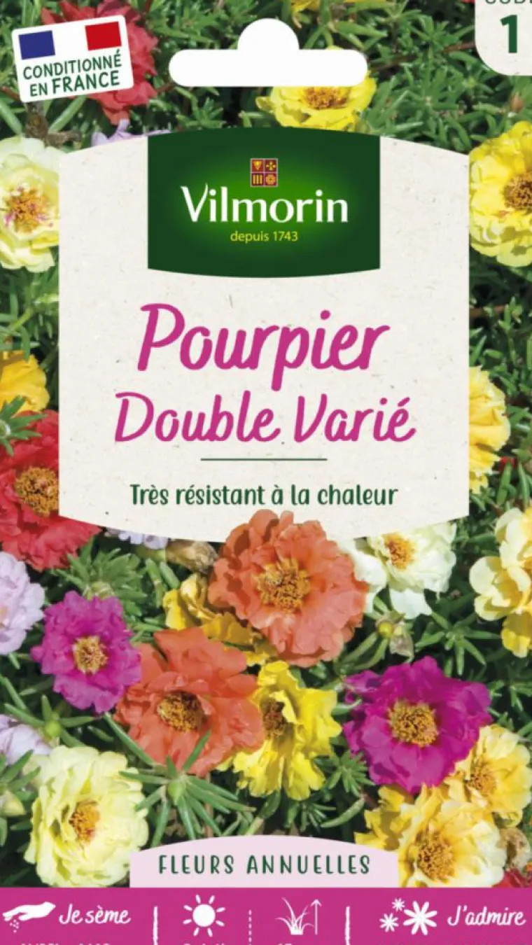New VILMORIN Pourpier Double varié - graines à semer