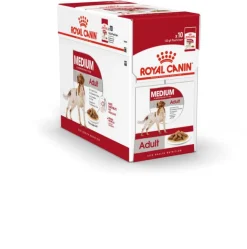 ROYAL CANIN Pâtée pour chien Medium Adult - 10 x 140 g