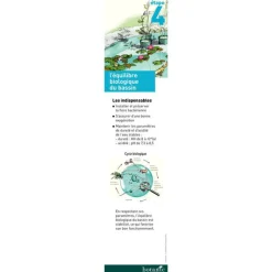 Outlet AQUATIC SCIENCE Purificateur de bassin Bactogen 150 gr