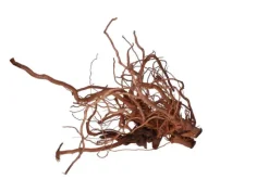Discount AQUAVIE Racine décorative pour terrarium en bois naturel coloris marron racine Curlivigne - Taille XL