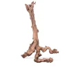AQUAVIE Racine pour terrarium coloris marron Mopavigne - Taille L