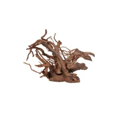 Best AQUAVIE Racine Vigne rare rouge, env. 30 cm