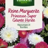 Discount VILMORIN Reine Marguerite Princesse Super Géante Variée - graines à semer