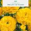 Online BOTANIC® Renoncule coloris jaune - 12 bulbes