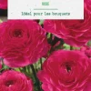 Sale BOTANIC® Renoncule coloris rose - 12 bulbes
