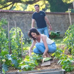 Sale BLACKFOX Sabots Marschal Vert anis