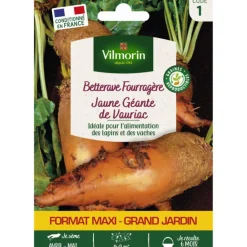Online VILMORIN Sachet de graines de betterave fourragère jaune géante de Vauriac format économique
