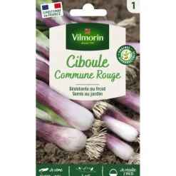 Best VILMORIN Sachet de graines de ciboule commune rouge