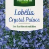 Hot VILMORIN Sachet de Lobelia Crystal Palace Blue