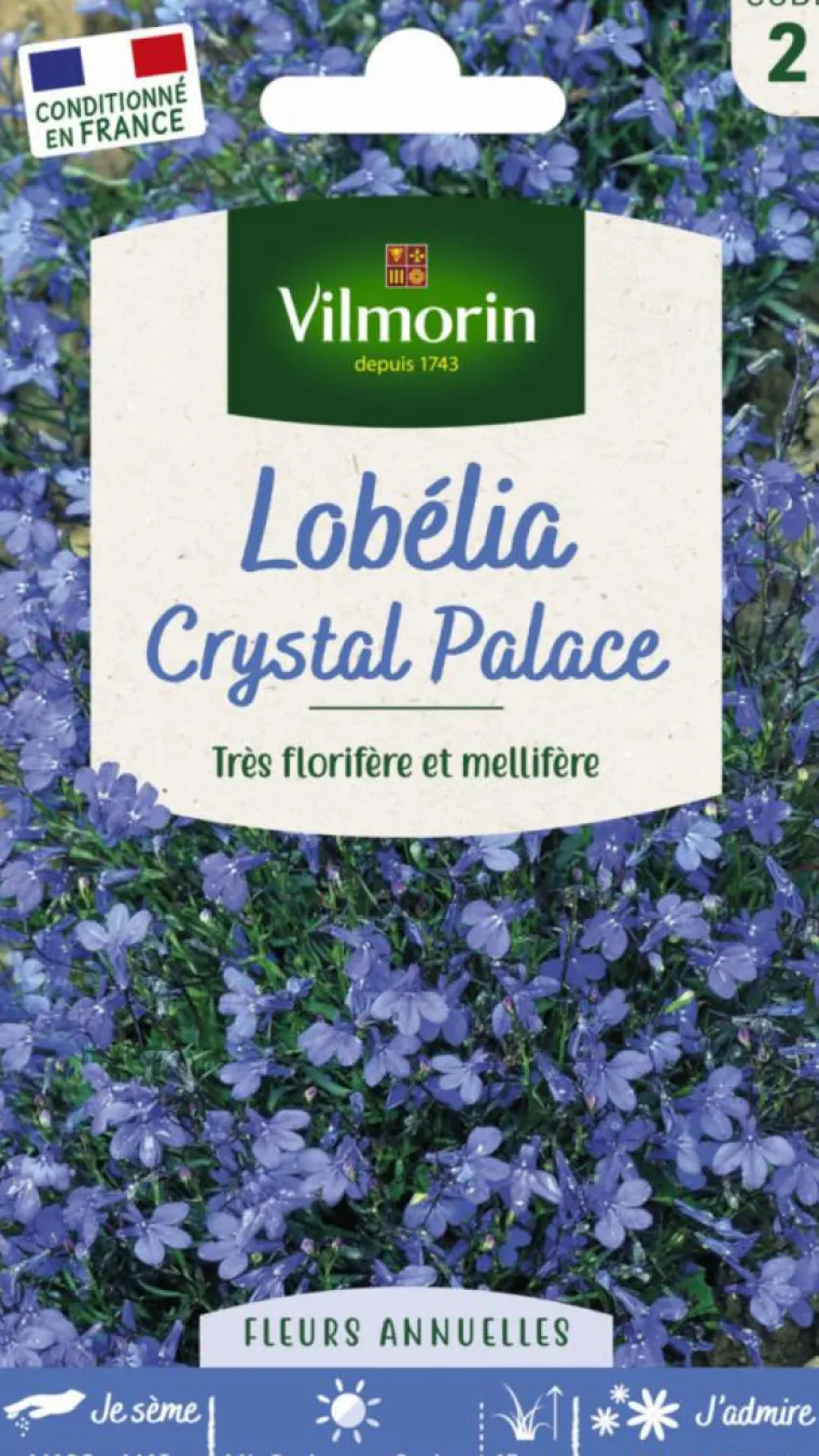 Hot VILMORIN Sachet de Lobelia Crystal Palace Blue