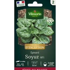 Best VILMORIN Sachet de semences potagères graines d'épinard Soyuz HF1 VL2