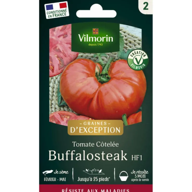 Best VILMORIN Sachet de semences potagères graines de tomate Buffalo Steak HF1 Graines d'Exception