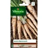New VILMORIN Salsifis Mammouth - graines à semer