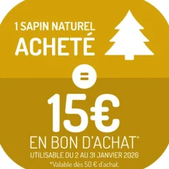 Discount Sapin de Noël naturel coupé Fraseri