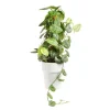 BOTANIC® Scindapsus Trébie avec tuteur mousse pot Ø21xH90 cm