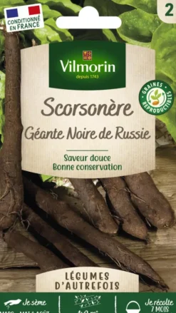 New VILMORIN Scorsonère Géante Noire de Russie - graines à semer