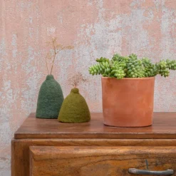 Outlet BOTANIC® Sedum burrito en pot terre cuite H 40 x Ø 15 cm