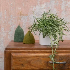 Clearance BOTANIC® Senecio radicans en pot blanc émaillé H 10 x Ø 15 cm