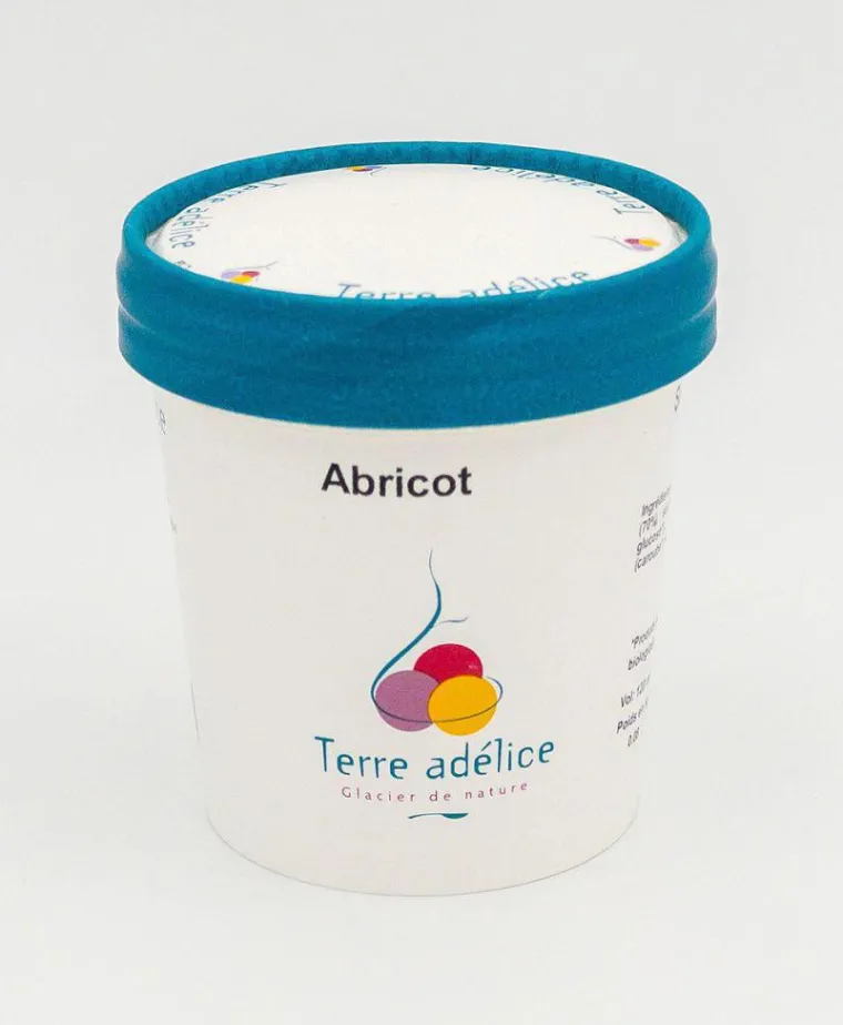Online TERRE ADELICE Sorbet abricot Terre Adélice - Pot de 120 ml