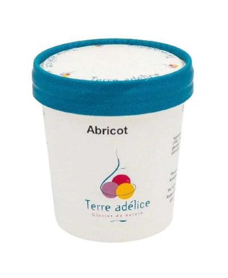 Online TERRE ADELICE Sorbet abricot Terre Adélice - Pot de 120 ml
