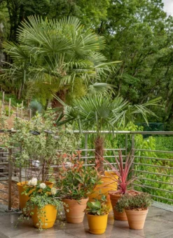 Discount POETIC Soucoupe jaune tournesol pour pot Joy 40 - Ø 30 cm