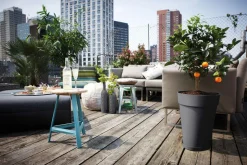 Outlet ELHO Soucoupe Ronde couleur terre anthracite - Ø 25x3.7 cm