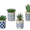 Discount KAEMINGK Succulente artificielle verte dans cache-pot en bleu - Ø 5,5 x H 9 cm