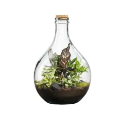Outlet BOTANIC® Terrarium autonome Suryio - Taille 12 L Ø 29 cm H 43 cm