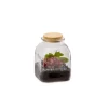 New BULLE DE NATURE Terrarium cobane taille M 15,8 x 15,8 x 21 cm