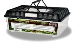 Hot REPTILE PLANET Terrarium en plastique coloris noir Repti Box Flat - Taille XL 42 x 26 x 16 cm